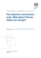Firm dynamics and business cycle: what doesn't kill you makes you stronger?