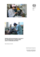 Gender and the environment: a survey in the manufacturing of machine-parts sector in Indonesia and China
