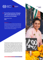 Promoting business linkages with small enterprises as an incentive to formalize: experiences from Chile