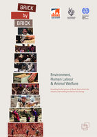 Environment, human labour and animal welfare: unveiling the full picture of South Asia’s brick kiln industry and building the blocks for change