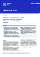 Industrial symbiosis networks as part of a circular economy: employment effects in some industrializing countries