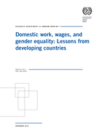 Domestic work, wages, and gender equality: lessons from developing countries