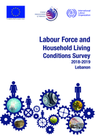 Labour Force and Household Living Conditions Survey (LFHLCS): 2018-2019, Lebanon