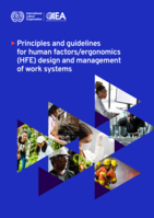 Principles and guidelines for human factors/ergonomics (HFE) design and management of work systems