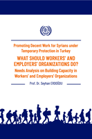 Promoting decent work for Syrians under temporary protection Turkey: what should workers' and employers' organizations do ? : needs analyzing on building capacity in workers' and employers' organizations