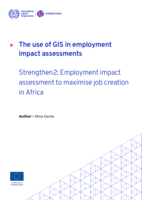 The use of GIS in employment impact assessments: strengthen2 : employment impact assessment to maximise job creation in Africa