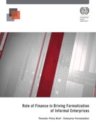 Role of finance in driving formalization of informal enterprises
