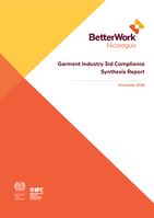 Garment industry 3rd compliance synthesis report