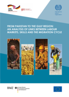 From Pakistan to the Gulf region: an analysis of links between labour markets, skills and the migrant cycle
