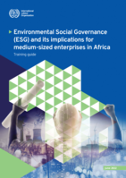 Environmental Social Governance (ESG) and its implications for medium-sized enterprises in Africa: training guide