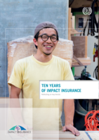 Ten years of impact insurance: reflecting on key trends