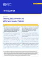 Rapid evaluation of the impact of COVID-19 on employment and the labour market in Cameroon