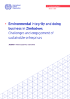 Environmental integrity and doing business in Zimbabwe: challenges and engagement of sustainable enterprises