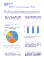 COVID-19 labour market impact in Nepal