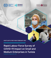Rapid labour force survey of COVID-19 impact on small and medium enterprises in Tunisia: highlights: first wave February 2021