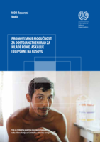 Promoting decent work opportunities for Roma, Ashkali and Egyptian youth in Kosovo: an ILO resource guide