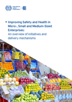 Improving safety and health in micro-, small and medium-sized enterprises: an overview of initiatives and delivery mechanisms