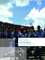 Case brief: APA insurance