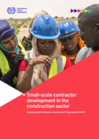 Small-scale contractor development in the construction sector