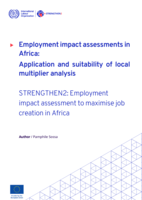 Employment impact assessments in Africa: application and suitability of local multiplier analysis