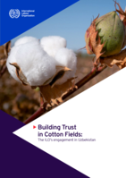 Building trust in cotton fields: the ILO’s engagement in Uzbekistan