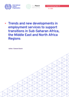Trends and new developments in employment services to support transitions in Sub-Saharan Africa, the Middle East and North Africa Regions