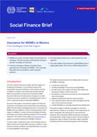 Insurance for MSMEs in Mexico: five strategies from the region