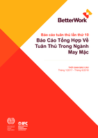 Annual Report 2019: an industry and compliance review, Vietnam