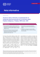 Alcances sobre el derecho a la participación en instancias electivas previsto en el Convenio sobre Pueblos Indígenas y Tribales, 1989 (núm. 169)