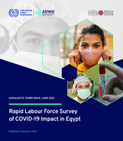 Rapid labour force survey of COVID-19 impact in Egypt: highlights: third wave June 2021