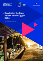 Developing the dairy value chain in Egypt’s Delta: market system analysis