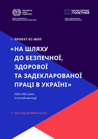 Towards safe, healthy and declared work in Ukraine (brief description)