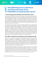 Strengthening nexus coherence and responsiveness of the Palestinian social protection sector