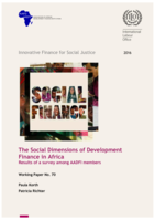 The social dimensions of development finance in Africa: results of a survey among AADFI members