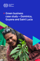 Green business case study: Dominica, Guyana and Saint Lucia