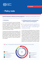 Social protection in Bosnia and Herzegovina: challenges and key policy issues