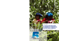 Case brief: la Asociación Mexicana de Uniones de Crédito del Sector Social (AMUCSS)