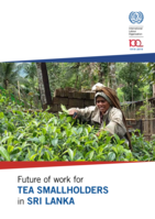 Future of work for tea smallholders in Sri Lanka