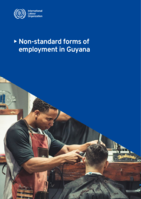 Non-standard forms of employment in Guyana