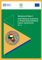 IGAD regional guidelines on rights-based Bilateral Labour Agreements (BLAs): background report