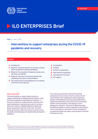 Interventions to support enterprises during the COVID-19 pandemic and recovery