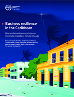 Business resilience in the Caribbean: how sustainable enterprises can minimize impacts of climate change