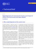 Rapid diagnostics for assessing the country level impact of COVID-19 on the economy and labour market: guidelines