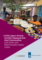 Child labour among forcibly displaced and host communities: East Darfur and West Kordofan States, Sudan