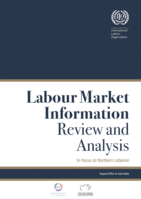 Labour market information review and analysis: in-focus on Northern Lebanon