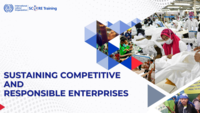 Sustaining competitive and responsible enterprises