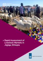 Rapid assessment of livestock markets in Jigjiga, Ethiopia
