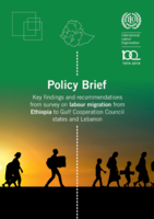 Policy brief: key findings and recommendations from survey on labour migration from Ethiopia to Gulf Cooperation Council states and Lebanon
