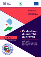 Évaluation du marché du travail axée sur les travailleurs migrants de la région de l’IGAD: rapport-pays : Djibouti