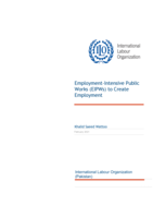 Employment-Intensive Public Works (EIPWs) to create employment